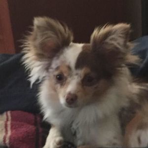 Meet your Posher, Carolyn